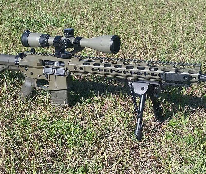 What Can an AR-15 Kill? Bear, Hog, Lion? – Neckbone Armory