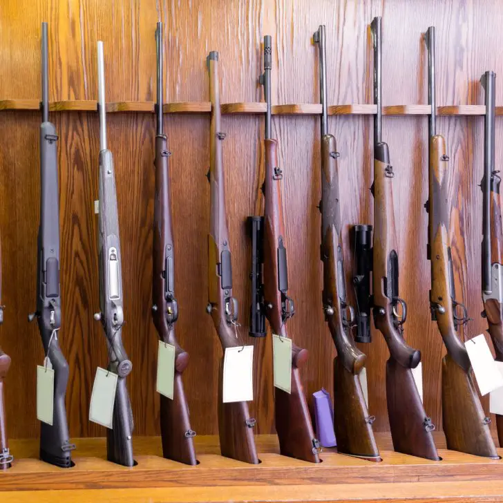 Best Cartridge For Moose Hunting Calibers Neckbone Armory